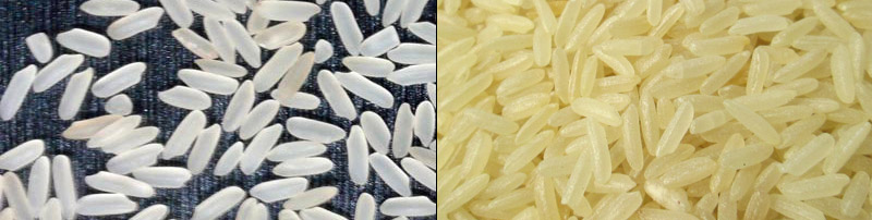 IR 1010 (Raw / Parboiled Rice)