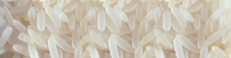 Single Boiled Rice